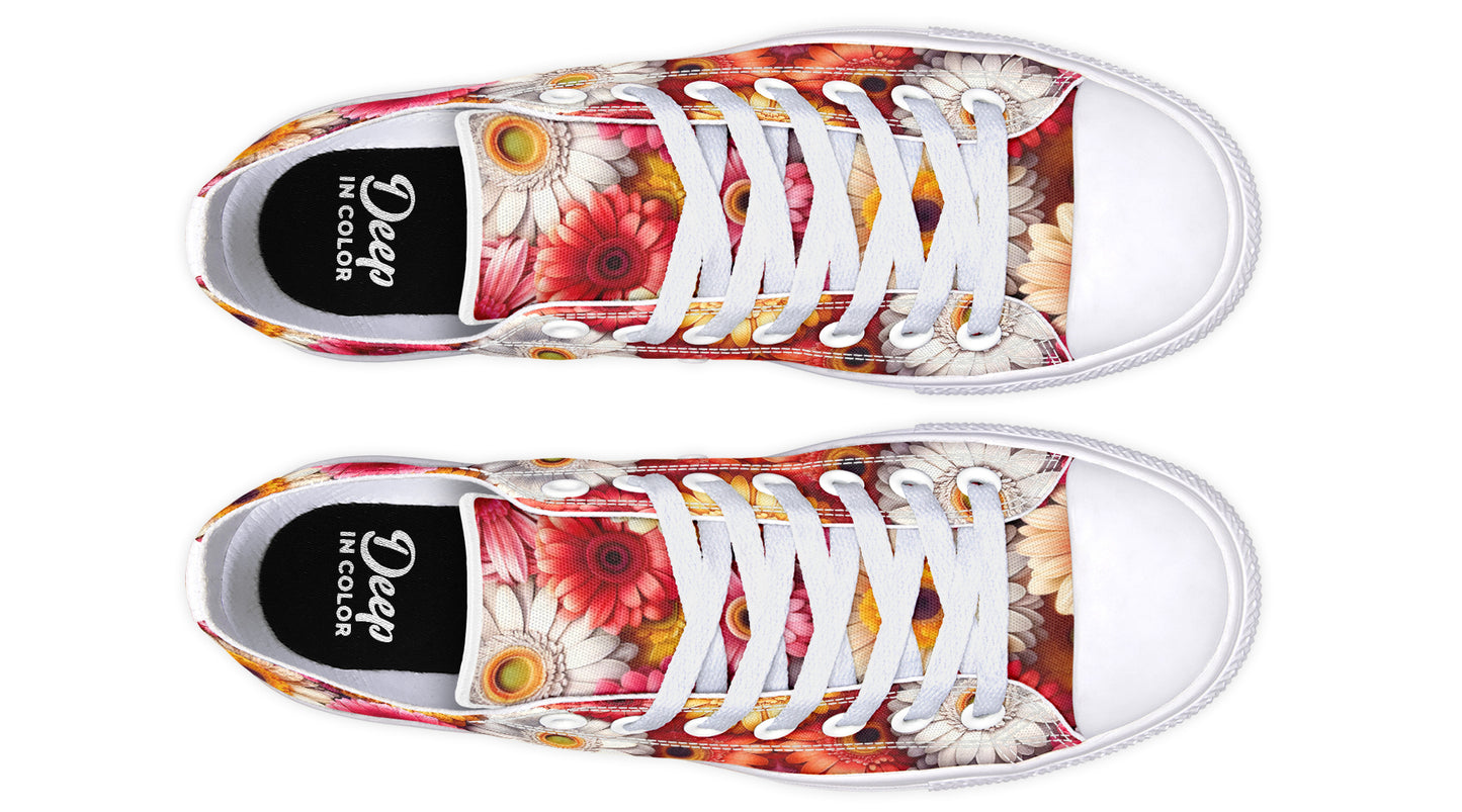 Gerbera Daisies Lowtops