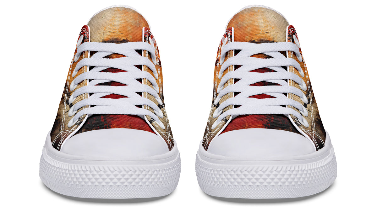 Rusty Skull And Roses Lowtops