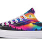 Colorful Sunset Dream LowTops